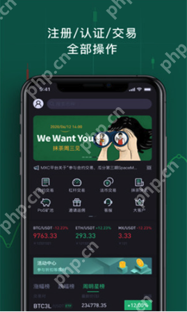 mxc币的价格实时走势如何 mxc币未来5年估值 - php中文网